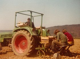 Kartoffelpflanzung mit zweireihigem, halbautomatischem Ablegegerät